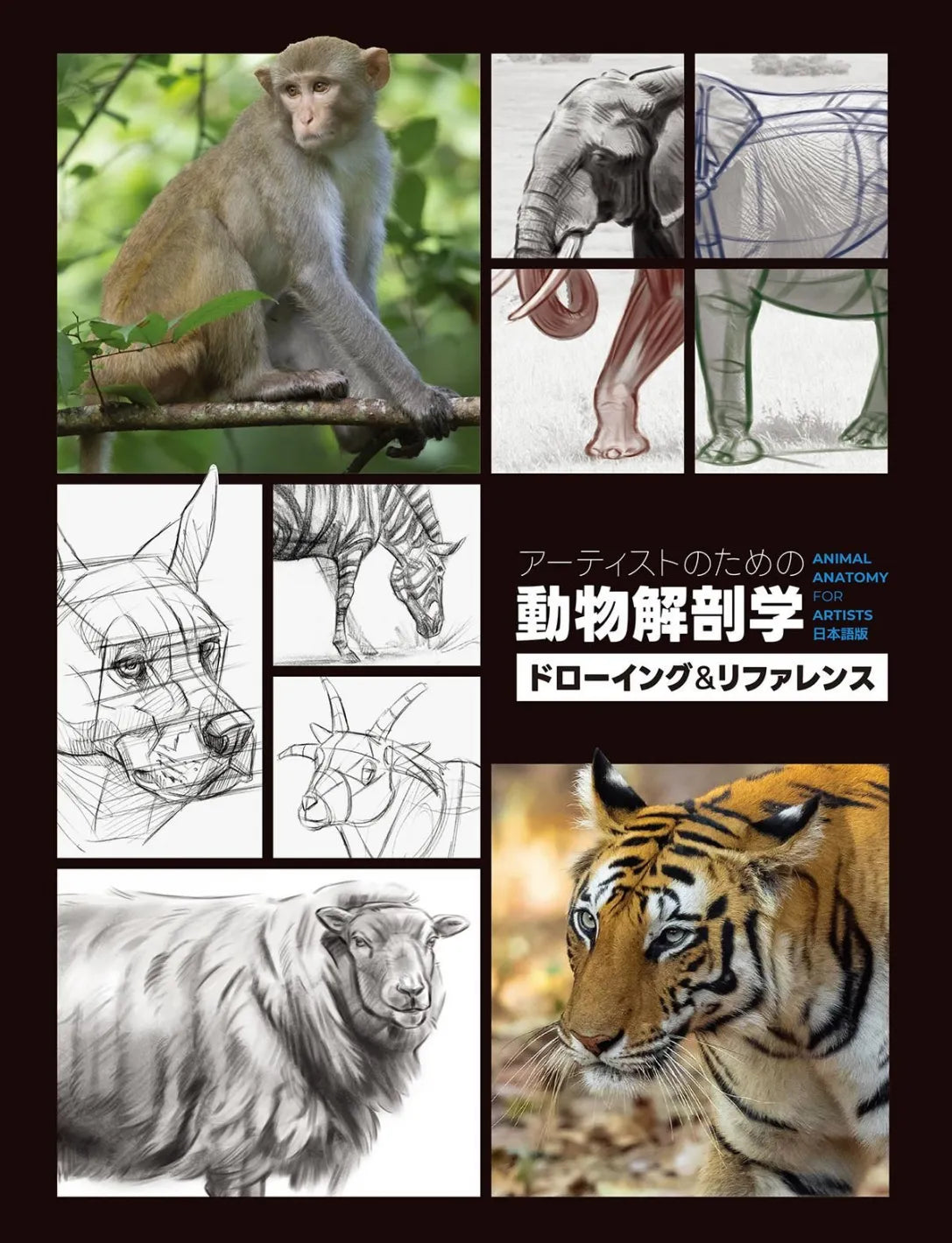 アーティストのための動物解剖学：ドローイング＆リファレンス